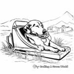 Sled Dog at Rest: Peaceful Sled Dog Coloring Pages 1