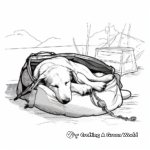 Sled Dog at Rest: Peaceful Sled Dog Coloring Pages 4