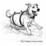 Sled Dog in Motion: Action Packed Coloring Pages 1