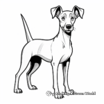 Sleek Doberman Pinscher Dog Show Coloring Pages 4