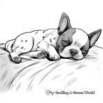 Sleeping Boston Terrier Puppy Coloring Pages 1