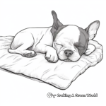 Sleeping Boston Terrier Puppy Coloring Pages 2