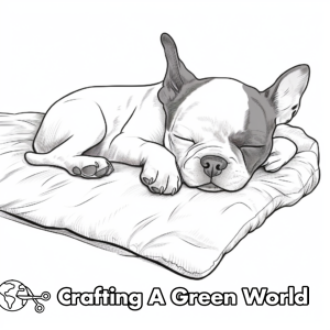 Boston Terrier Coloring Pages - Free &amp; Printable!