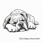 Sleeping Boxer Dog Coloring Pages 1