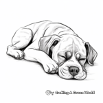 Sleeping Boxer Dog Coloring Pages 2