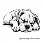 Sleeping Boxer Dog Coloring Pages 3