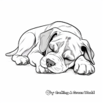 Sleeping Boxer Dog Coloring Pages 4