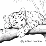 Sleeping Clouded Leopard: Calm and Peaceful Scenes 1