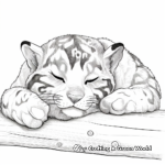 Sleeping Clouded Leopard: Calm and Peaceful Scenes 3