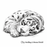 Sleeping Clouded Leopard: Calm and Peaceful Scenes 4