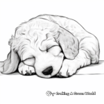 Sleeping Cockapoo Puppy Coloring Pages 1