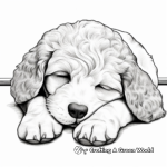 Sleeping Cockapoo Puppy Coloring Pages 2