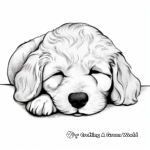 Sleeping Cockapoo Puppy Coloring Pages 3