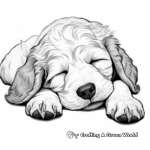 Sleeping Cockapoo Puppy Coloring Pages 4