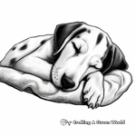 Sleeping Great Dane Puppy Coloring Pages 1