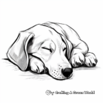 Sleeping Great Dane Puppy Coloring Pages 2