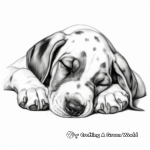 Sleeping Great Dane Puppy Coloring Pages 3