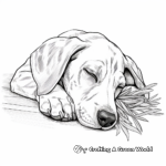 Sleeping Great Dane Puppy Coloring Pages 4