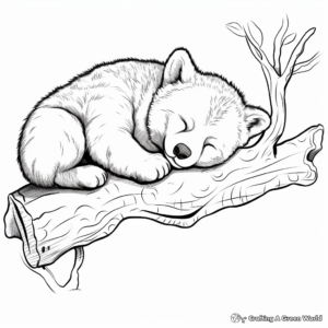 Sleeping Red Panda Coloring Pages 1