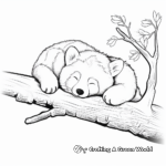 Sleeping Red Panda Coloring Pages 3