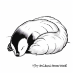 Sleeping Skunk Coloring Pages 4