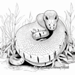 Slithering Snake Jungle Animal Coloring Pages 1
