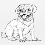 Smiling Pug Coloring Pages: Adults 2