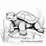 Snapping Turtle Coloring Pages 1