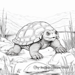 Snapping Turtle Habitat Scenario Coloring Pages 1