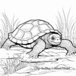 Snapping Turtle Habitat Scenario Coloring Pages 3
