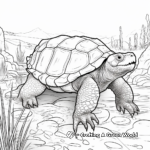 Snapping Turtle Habitat Scenario Coloring Pages 4