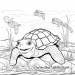 Snapping Turtle Life Cycle Coloring Pages 1