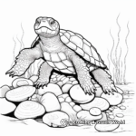 Snapping Turtle Life Cycle Coloring Pages 3