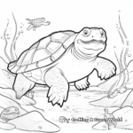 Snapping Turtle Life Cycle Coloring Pages 4