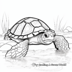 Snapshots of Painted Turtle Coloring Pages 1