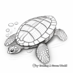 Snapshots of Painted Turtle Coloring Pages 4