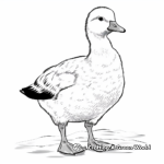 Snow Goose Winter Coloring Pages 3