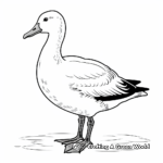 Snow Goose Winter Coloring Pages 4