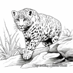 Snow Leopard In Its Habitat Coloring Pages 1