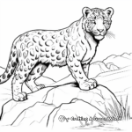 Snow Leopard In Its Habitat Coloring Pages 2
