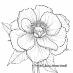 Soft Peony Flower Coloring Pages 4