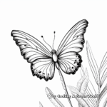 Soothing Butterfly Coloring Pages for Adults 1