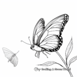 Soothing Butterfly Coloring Pages for Adults 4