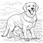 Sophisticated Adult Golden Retrievers Coloring Pages 2