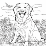 Sophisticated Adult Golden Retrievers Coloring Pages 4