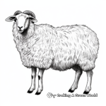 Spanish Raramuri Criollo Sheep Coloring Pages 2