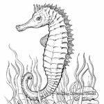 Species-Specific Seahorse Coloring Pages 2