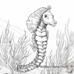 Species-Specific Seahorse Coloring Pages 3