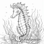 Species-Specific Seahorse Coloring Pages 4