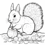Squirrel Gathering Acorns Coloring Pages 2